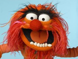 Bill bad hair day